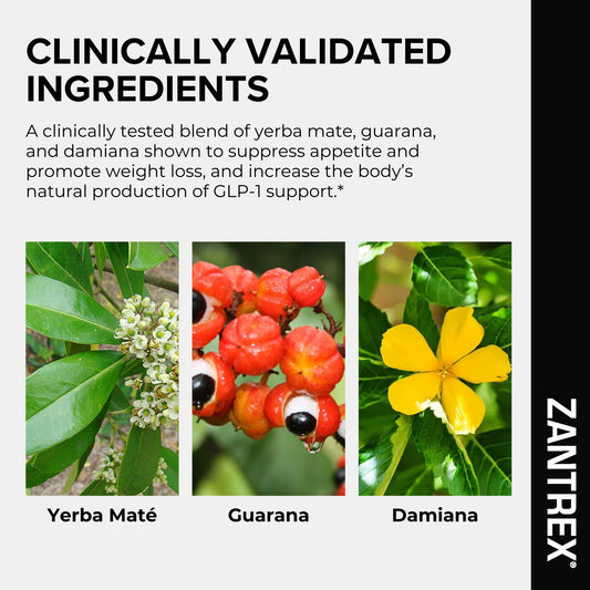 Metabolism Support Capsules